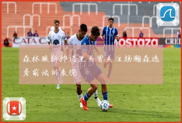 森林狼新帅诺里或曾关注杨瀚森选秀前试训表现