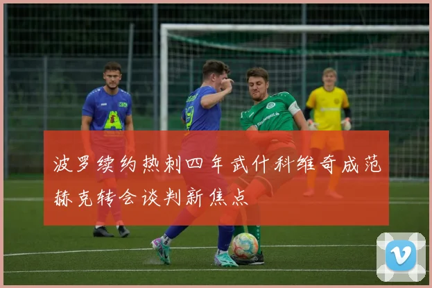 波罗续约热刺四年武什科维奇成范赫克转会谈判新焦点